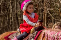 Pony-1