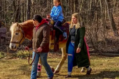 pony-1-3