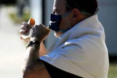 shofar4