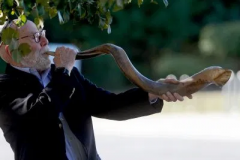 shofar7